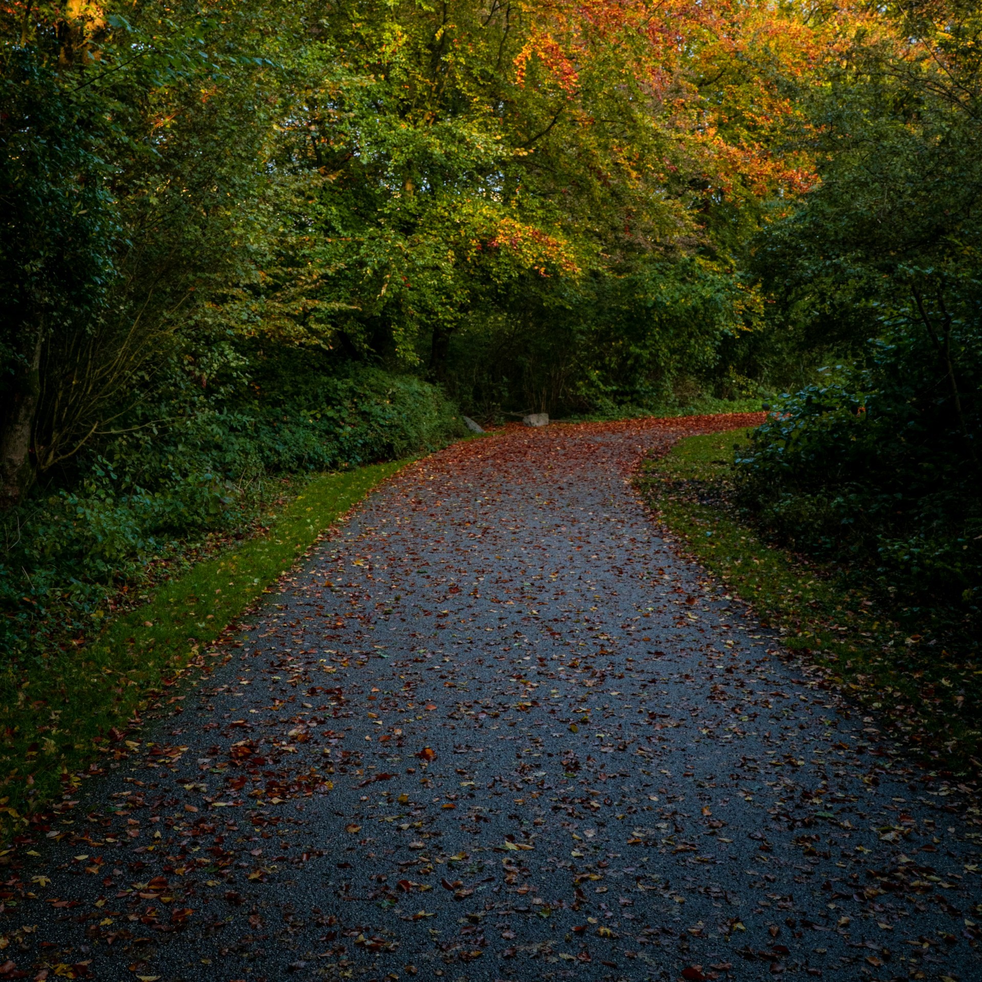 beautiful-spring-in-park-with-joging-path